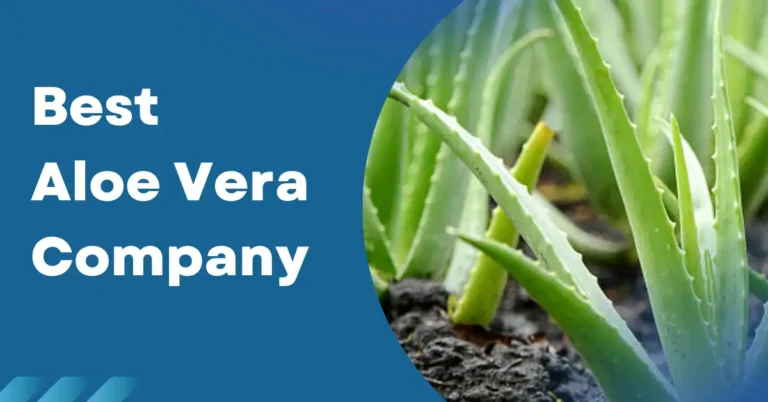 Best Aloe Vera Company